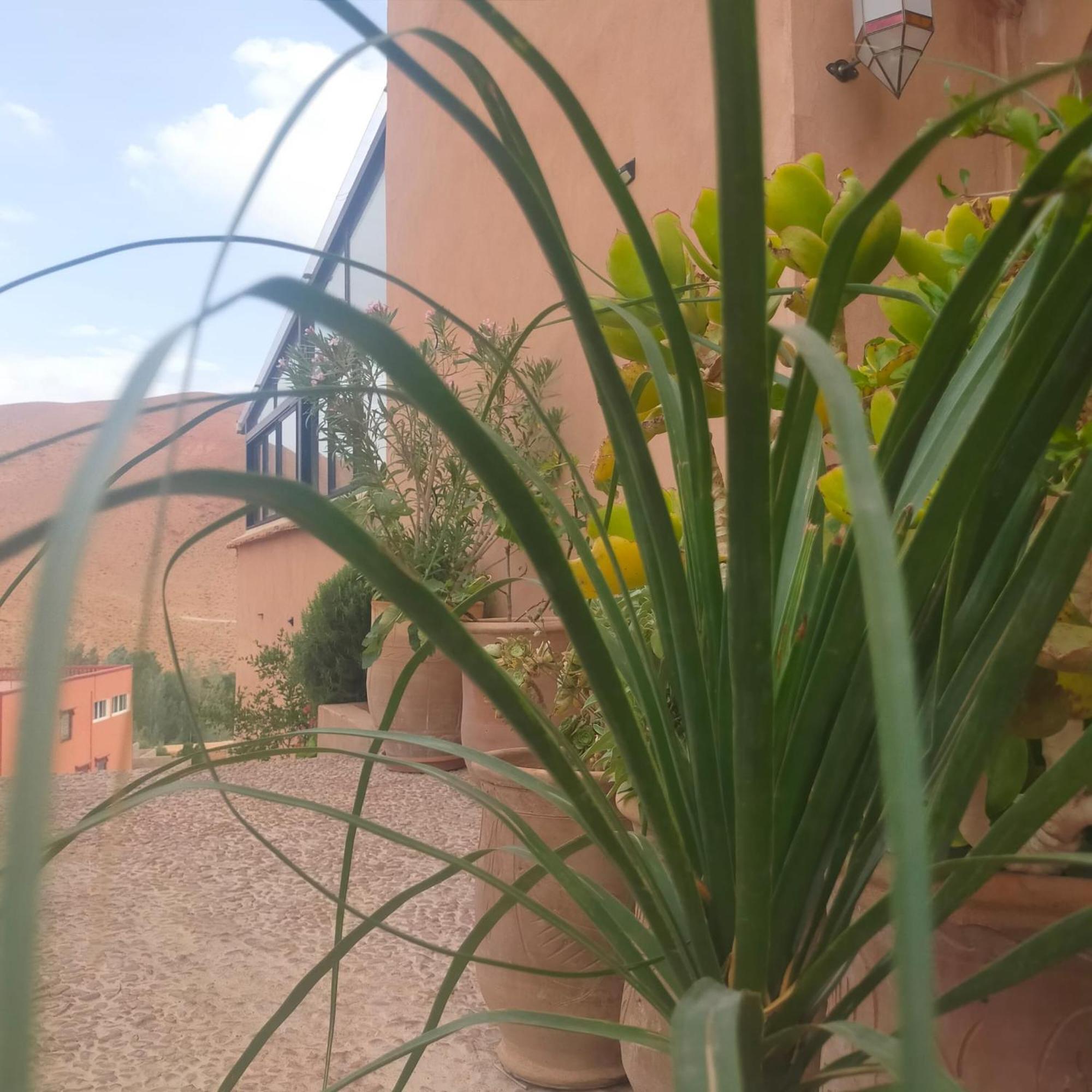 Kasbah Flilou Hotel Ait Ougliff ภายนอก รูปภาพ